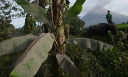 Tissus "salade de fruits" et autres pistes pour moins nuire à la planète