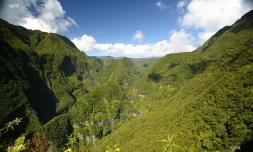 météo Réunion