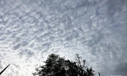 météo réunion