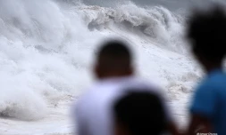 Cyclone Freddy