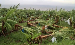 cyclone intense Batsirai 3 février 2022 route Littoral