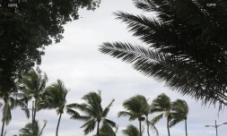 météo Réunion
