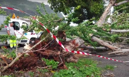 Capture d’e?cran vidéo Dyonicité