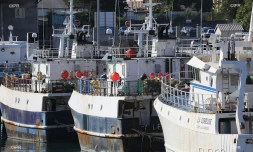 bateaux pêche