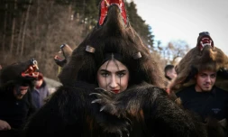 La parade des ours en Roumanie, nouvelle attraction touristique