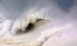 cyclone dina 22 janvier 2002
