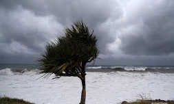 Cyclone Freddy