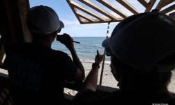 Water Patrol Saint-Leu