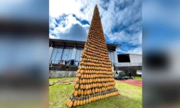 Tour d'ananas au Tampon, Record du monde de la plus haute pyramide de fruits