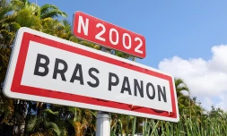Bras Panon