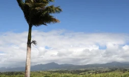 météo Réunion