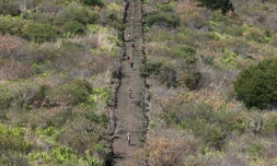 Grand raid chemin des angais