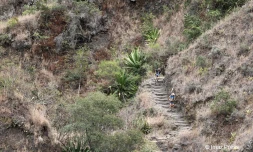 Grand Raid 2022 Roche plate