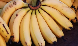 Marche Forain Chaudron