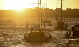 Voile: jour de départ pour les 138 marins de la prestigieuse Route du Rhum