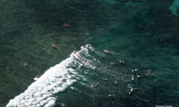 Surf côte ouest