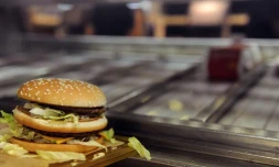 hamburgers