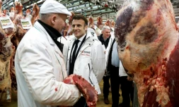 A Rungis, Macron défend sa réforme des retraites et agite "un débat sur le travail"