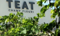 Téat Champ Fleuri