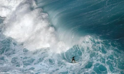 surf