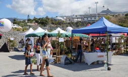 marché Bancoul à Saint-Denis