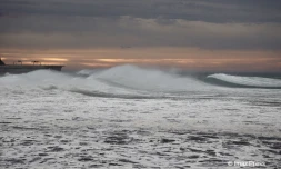 Barachois cyclone Freddy