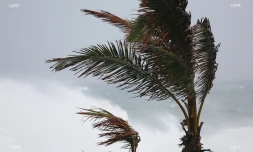 cyclone felleng