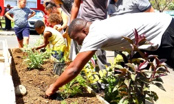 Aménagement d'une jardinière commune à Saint-Denis