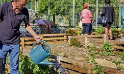 Jardins familiaux