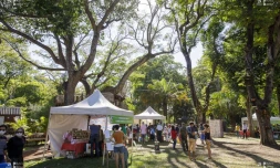Le Département organise un marché Péi au Jardin de l'Etat
