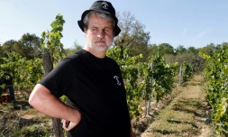 Les "Pirates", ces vignerons qui dynamitent les codes du bordeaux