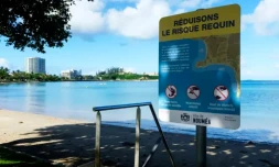 attaque de requin en nouvelle-calédonie