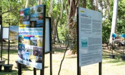 Une exposition itinérante au cœur des zones humides de Saint-Paul