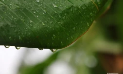 Goutte d'eau et pluie