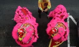 Nouvel An chinois