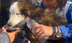 Crédit photo : Capture d'écran vidéo - News Agency - AFP