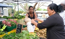 marché forain ville de Saint Paul