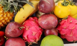 Fruits
