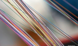 Fibre