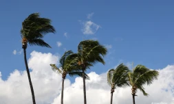 Météo Réunion