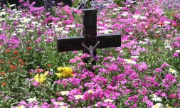 Cimetière