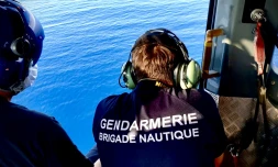 gendarmerie brigade nautique cetaces protection des cetaces