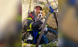 sauvetage d'un chien dans un puits, Indre