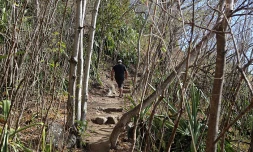 Sentier