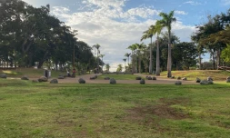 parc boisé au port