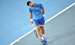Open d'Australie: Djokovic passe, mais dans la douleur