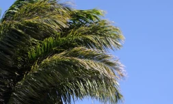 météo Réunion