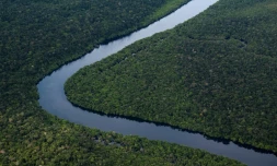 Déforestation: accord inédit de l'UE pour verdir ses importations