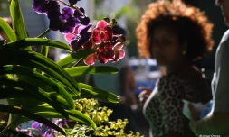 fleurs et jardins