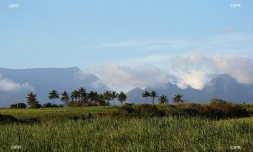 météo réunion